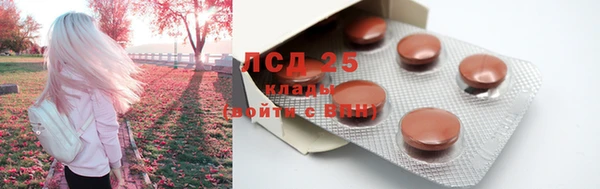 индика Медногорск
