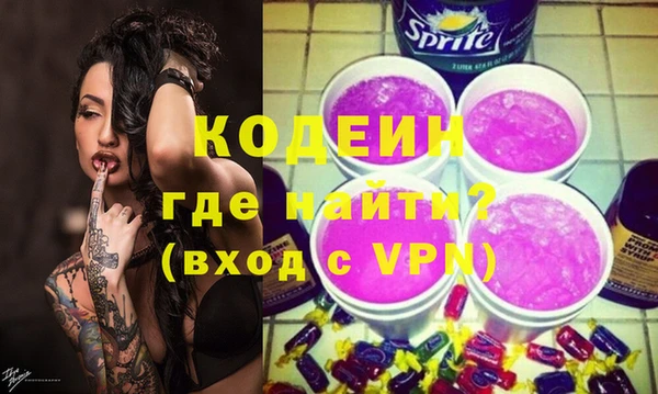 индика Медногорск