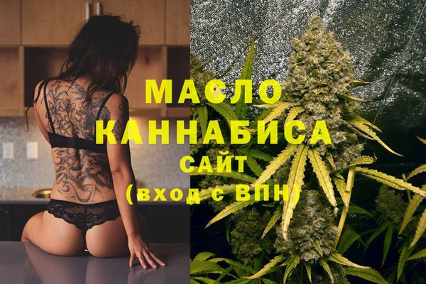 индика Медногорск