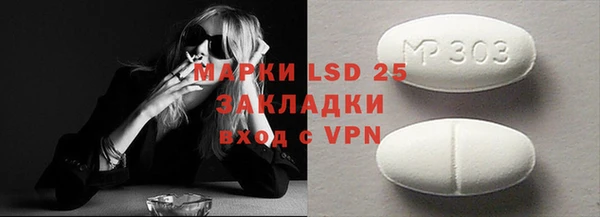 индика Медногорск