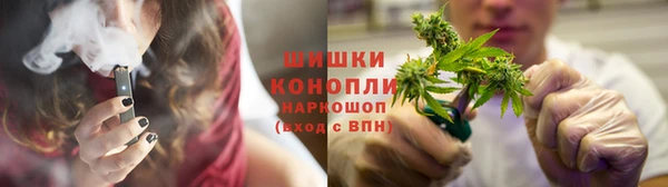 индика Медногорск