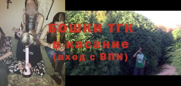 сатива Мегион