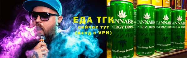 индика Медногорск