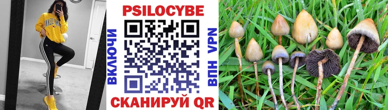 ссылка на мегу вход  Новокубанск  Галлюциногенные грибы мухоморы 